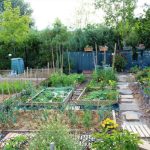 Association Ramène ta Fraise