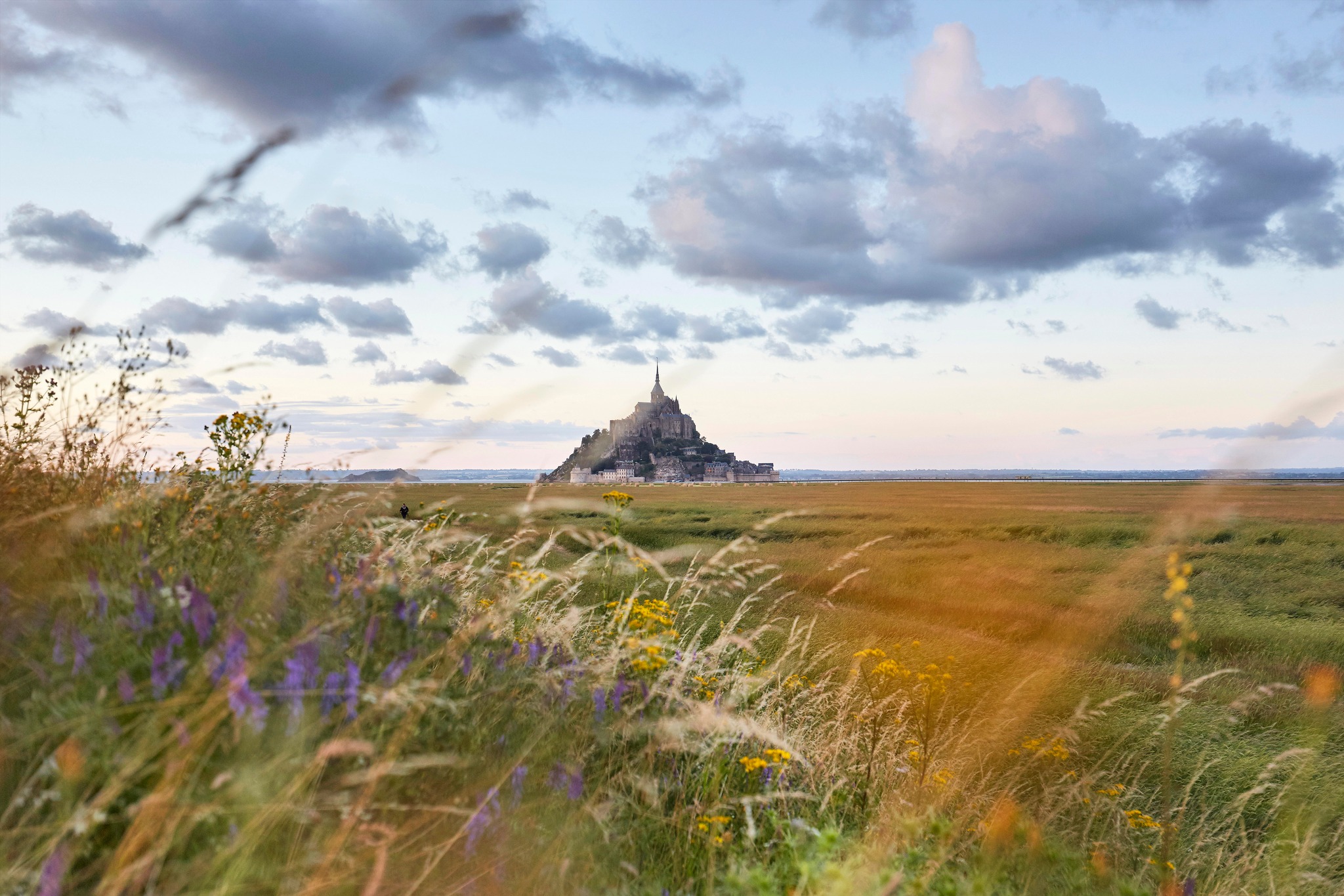Donnez votre avis sur le Plan Climat Air Énergie Territorial (PCAET)