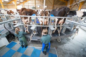 Association de remplacement de vachers